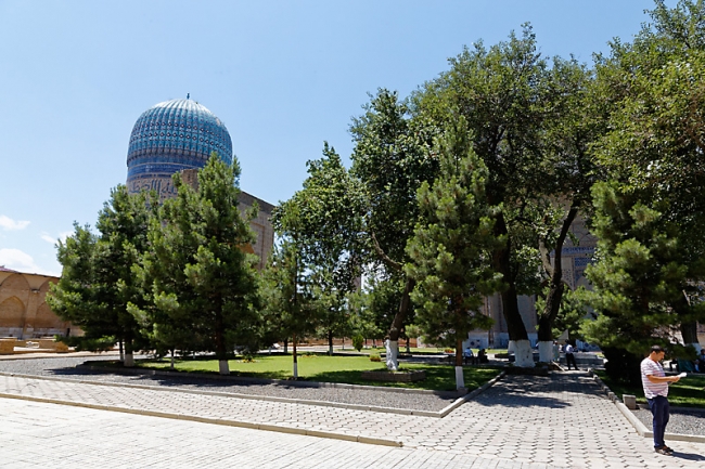 Mosquée Bibi Khanoum-036